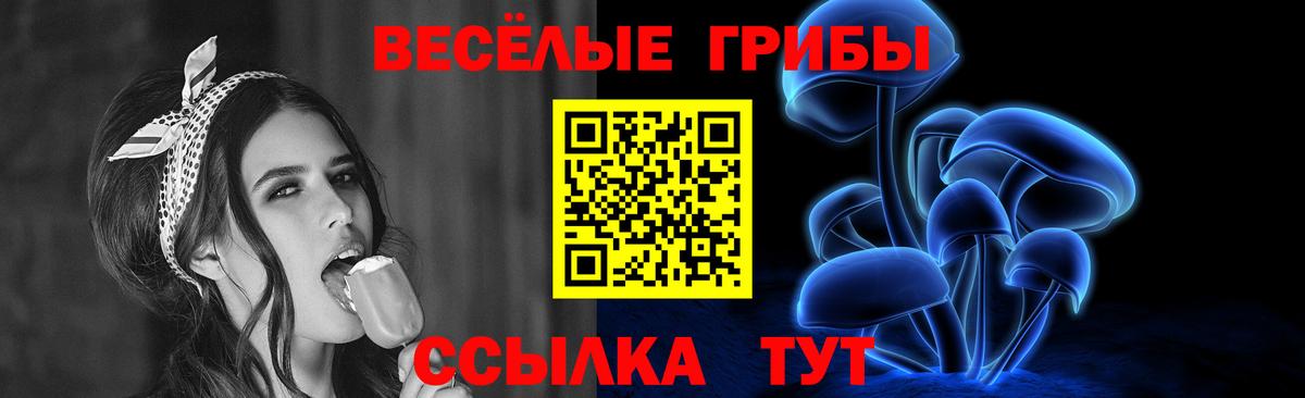 Петропавловск-Камчатский  Псилоцибиновые грибы ЛСД  Вход с VPN 